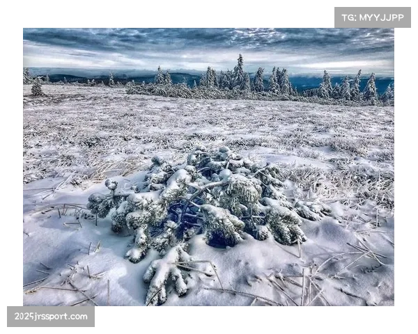 天气预报：纽约、丹佛等地季后赛首战可能遇雨雪天气，场馆已做预案